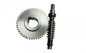 worm gear set