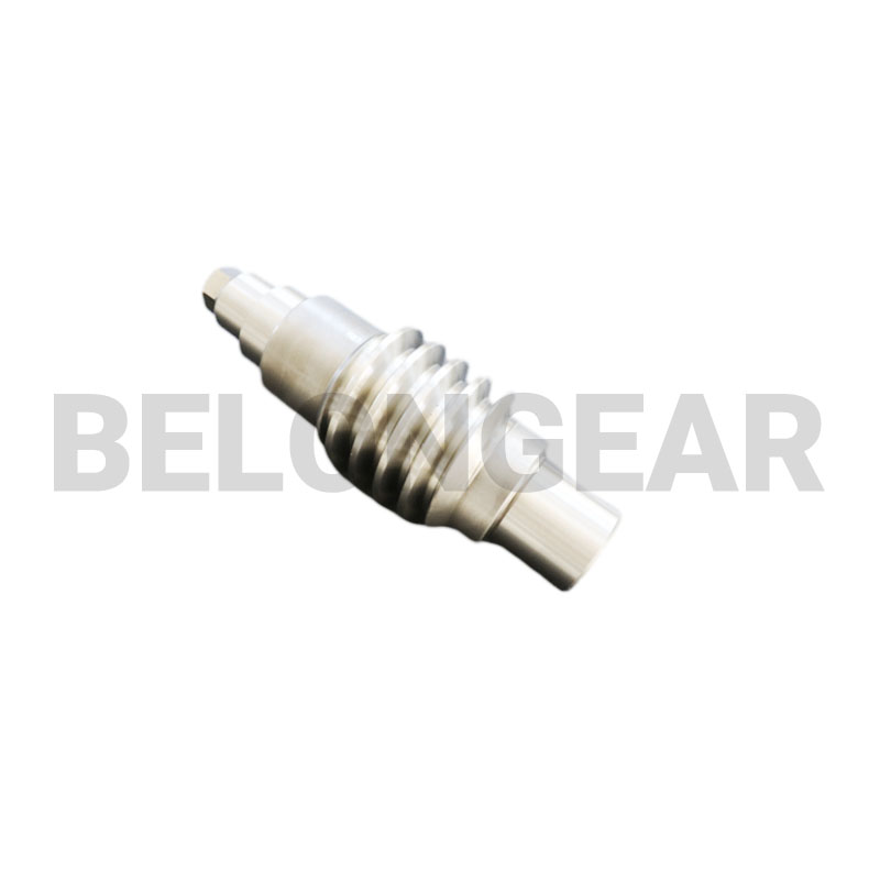 worm shaft worm gear